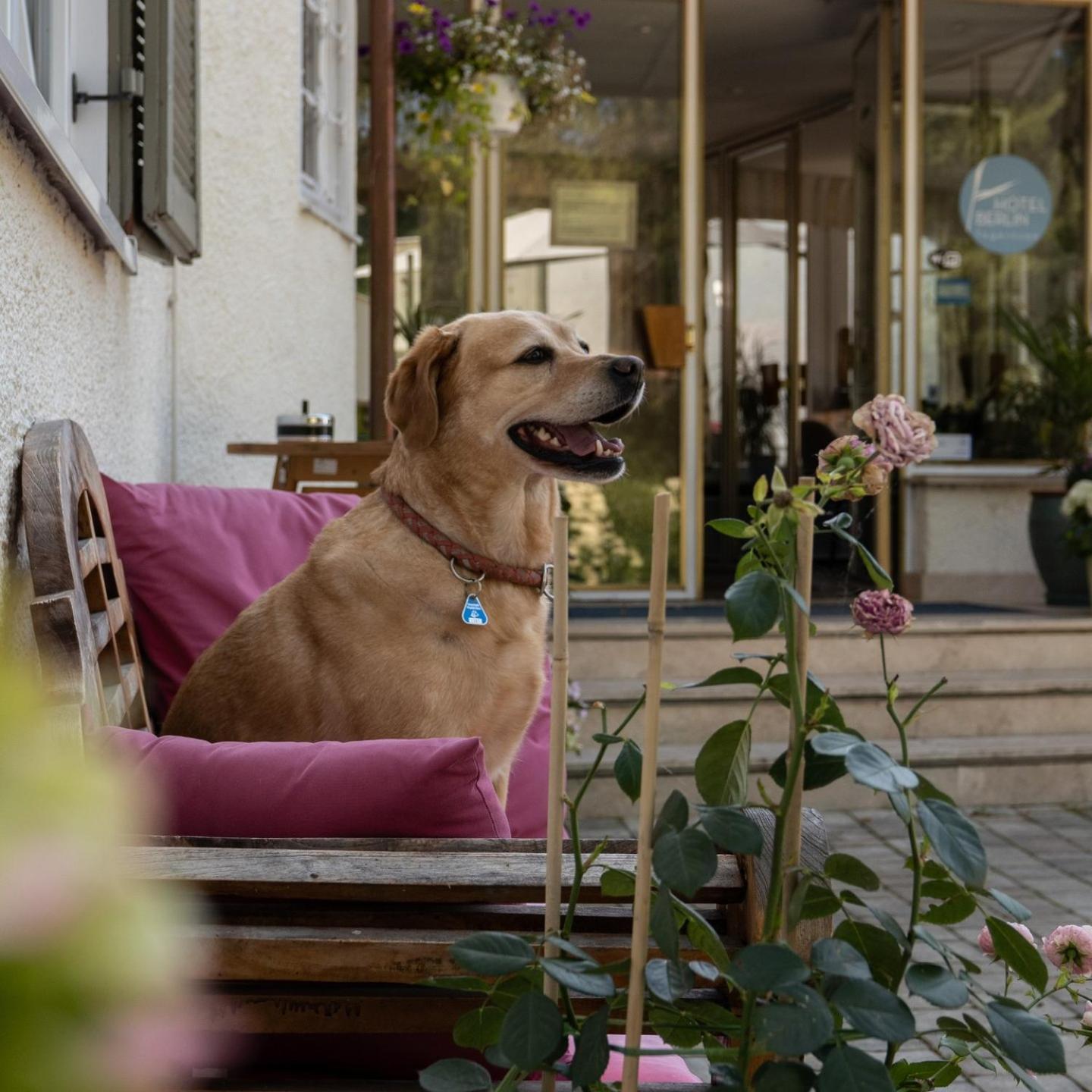 Hotel Berlin Tegernsee Rotta Eksteriør billede