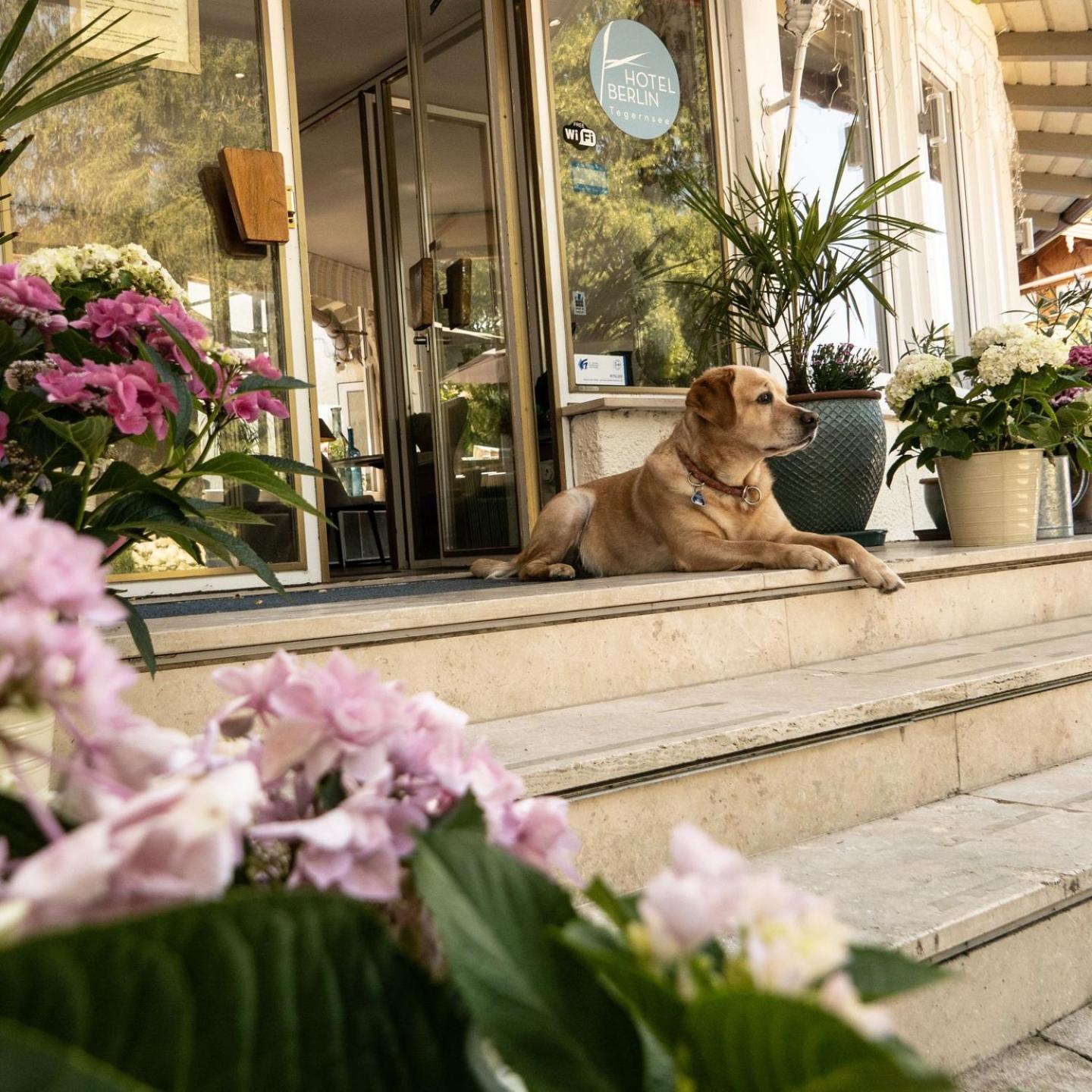 Hotel Berlin Tegernsee Rotta Eksteriør billede