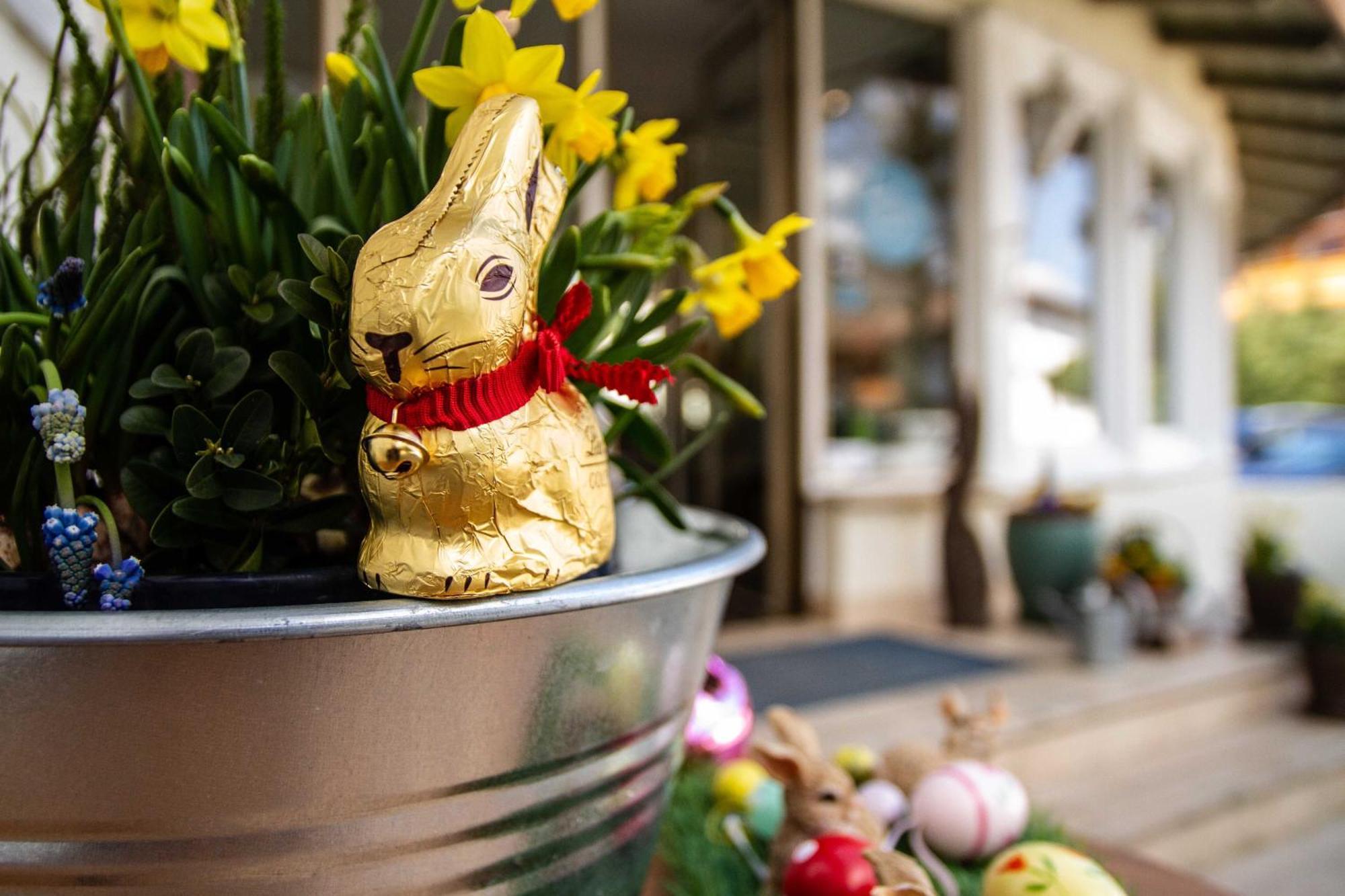 Hotel Berlin Tegernsee Rotta Eksteriør billede